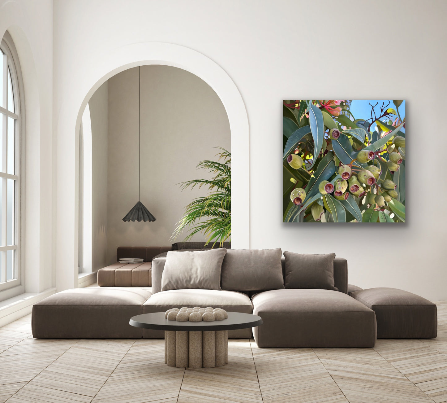 Gumnuts - Premium Canvas Prints