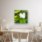 Teddy Bear Magnolia - Premium Canvas Prints