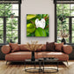 Teddy Bear Magnolia - Premium Canvas Prints