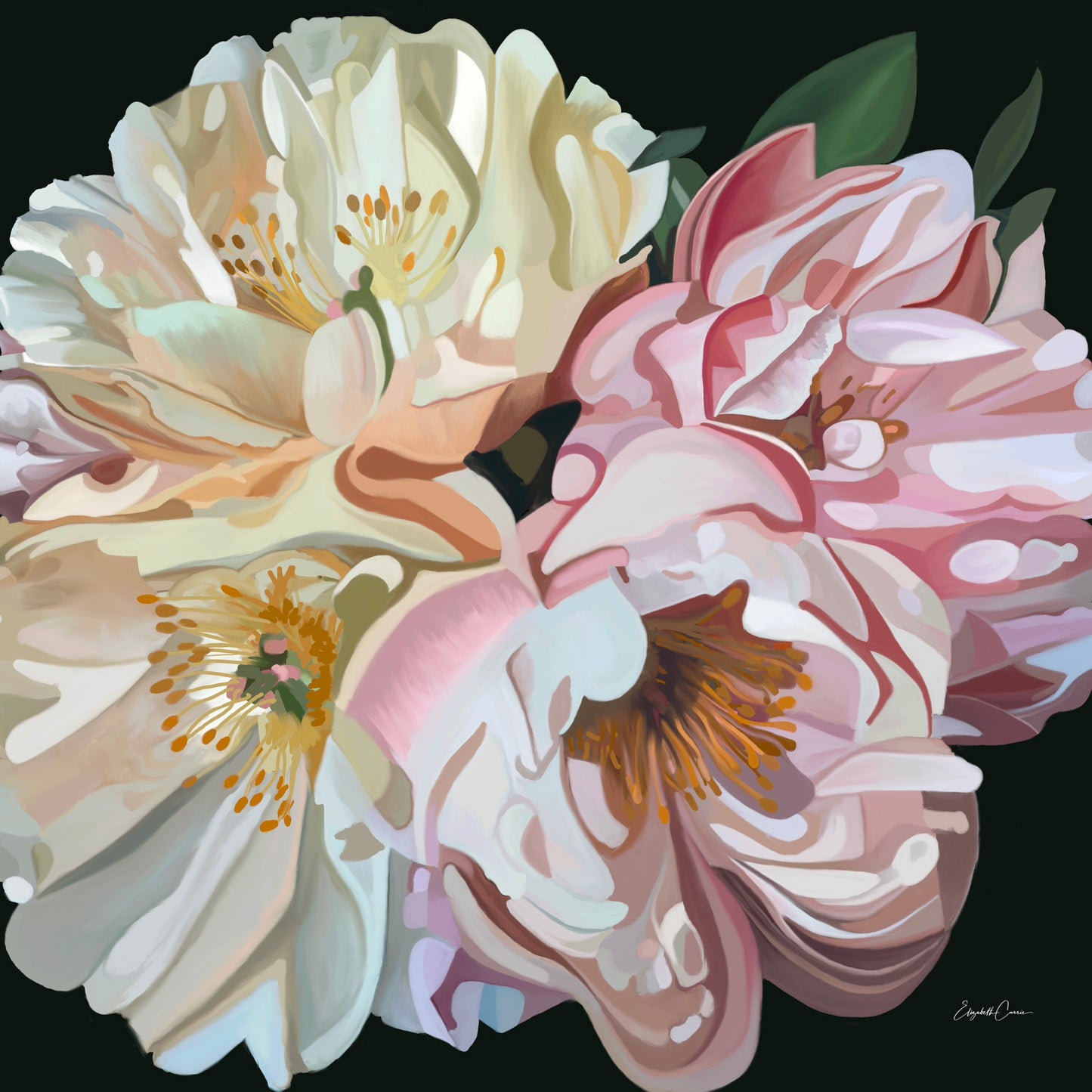 Peonies - Fine Art Canvas Prints