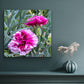 Pinks - Fine Art Canvas Prints