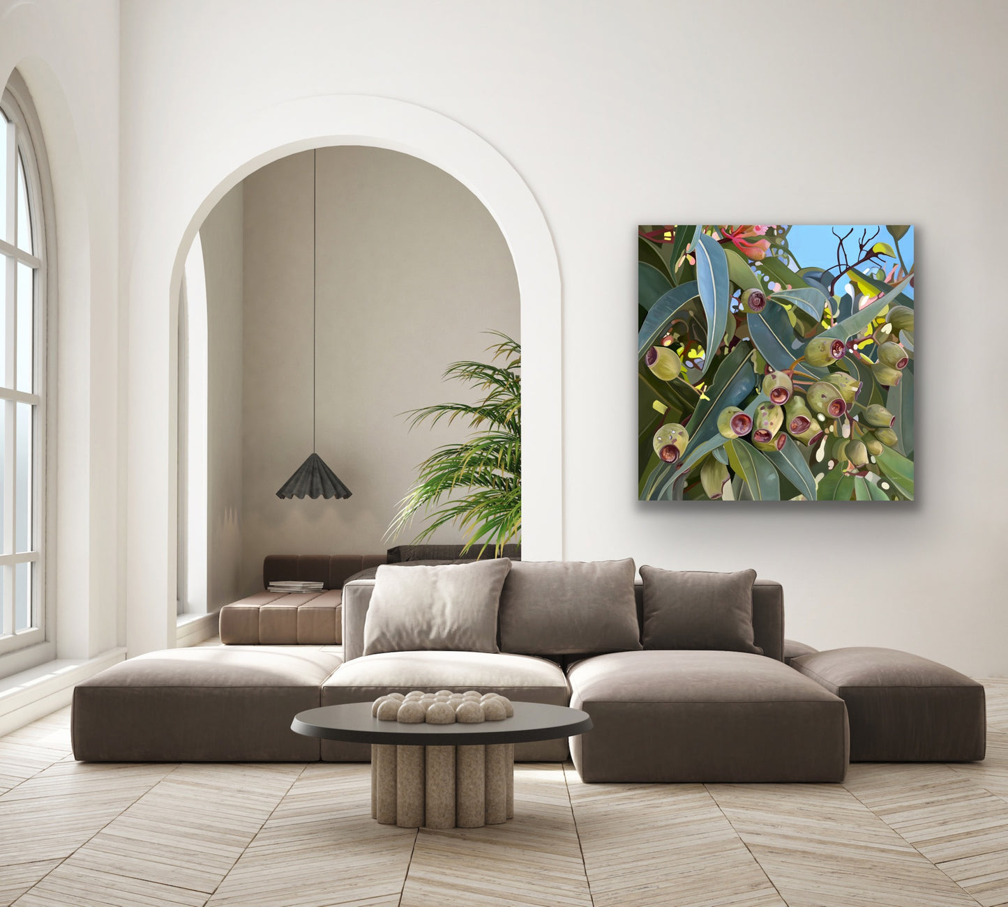 Gumnuts - Fine Art Canvas Prints