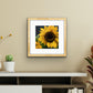 Sunflower - Fine Art Print